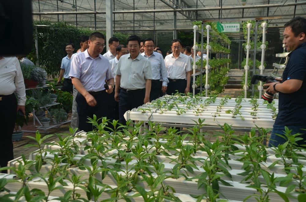 科技助農(nóng)，播撒光的種子  精準(zhǔn)扶貧，助力鄉(xiāng)村振興